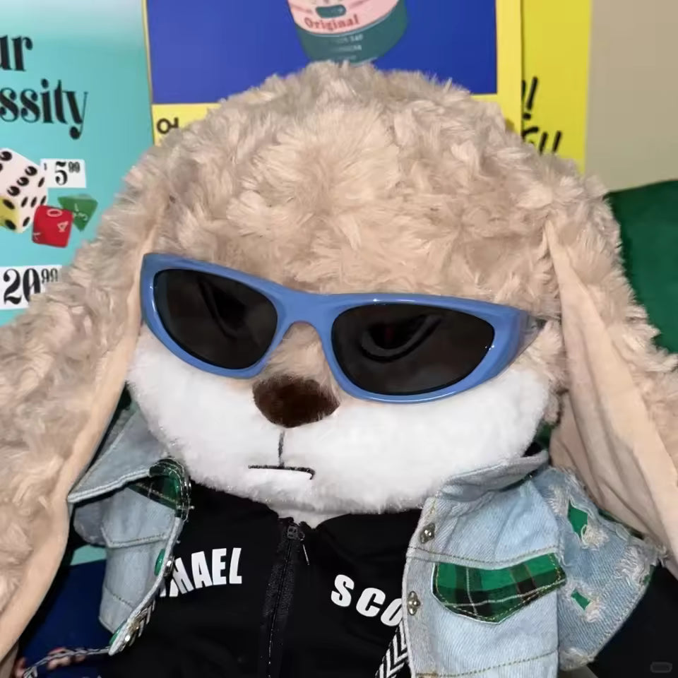 Pompón™ - La Peluche Grincheuse 🐻